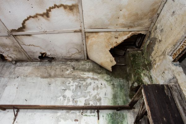 Cost of Water Damage Service in Forney
