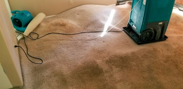 Flood Damage Cleanup in Forney