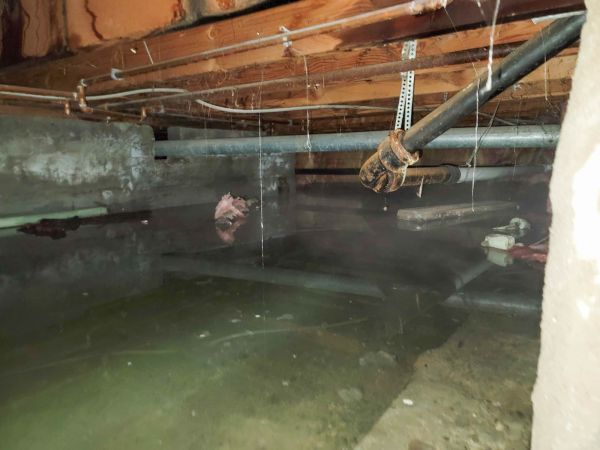 Cost of Water Mitigation Service in Forney